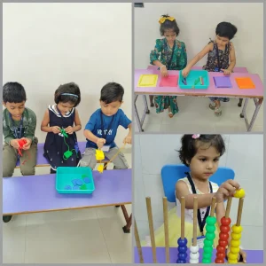 Five Senses Activity